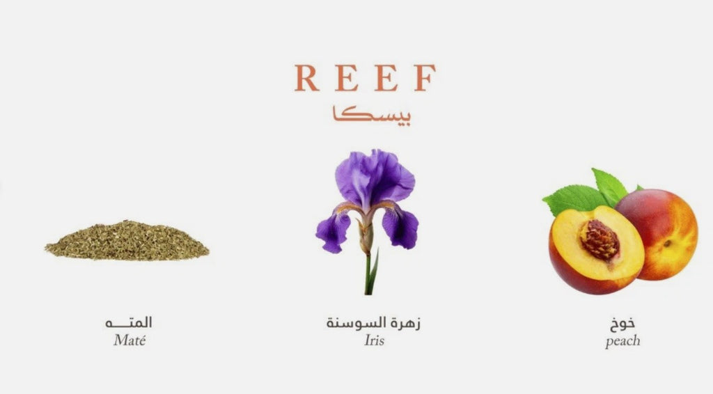 Reef Pesca EDP 200ML by Reef Unisex