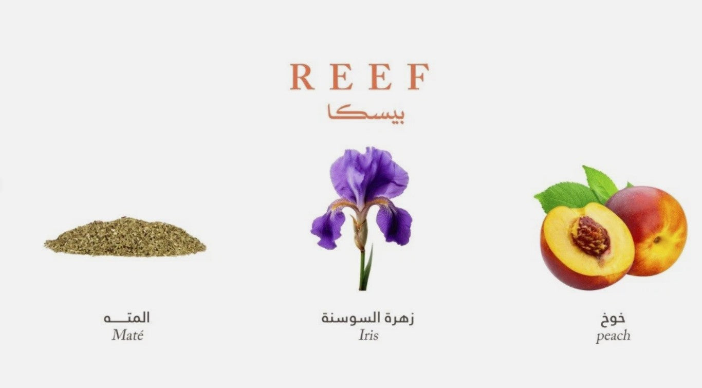 Reef Pesca EDP 200ML by Reef Unisex